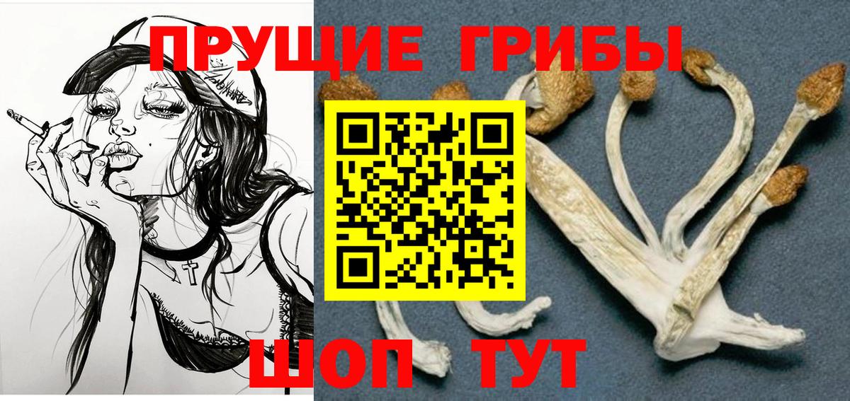 Галлюциногенные грибы ЛСД  Вход с VPN  Учалы 